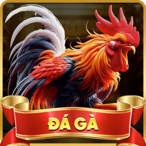 Hoàn Trả Hàng Ngày TF88