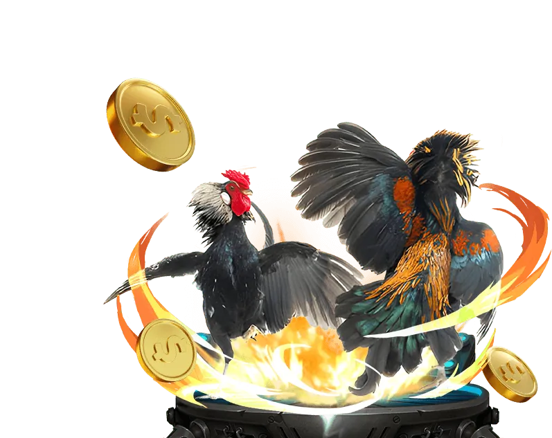 Người chơi TF88 chiến thắng Slot Games